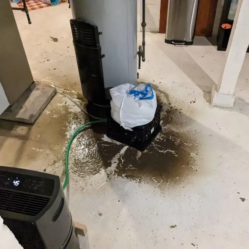 Sewage Backup Cleanup Service in Hudson County, NJ